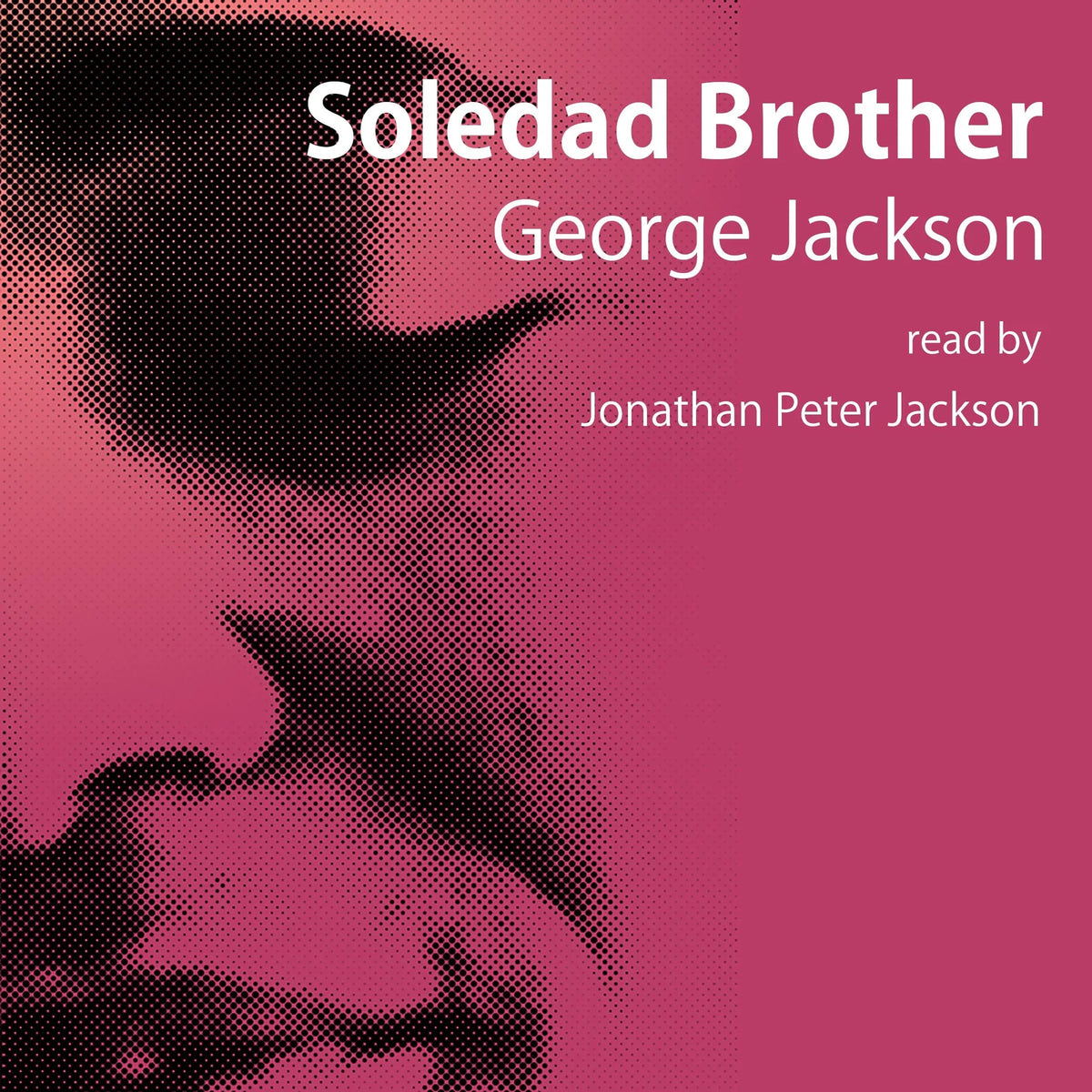 Soledad Brother
