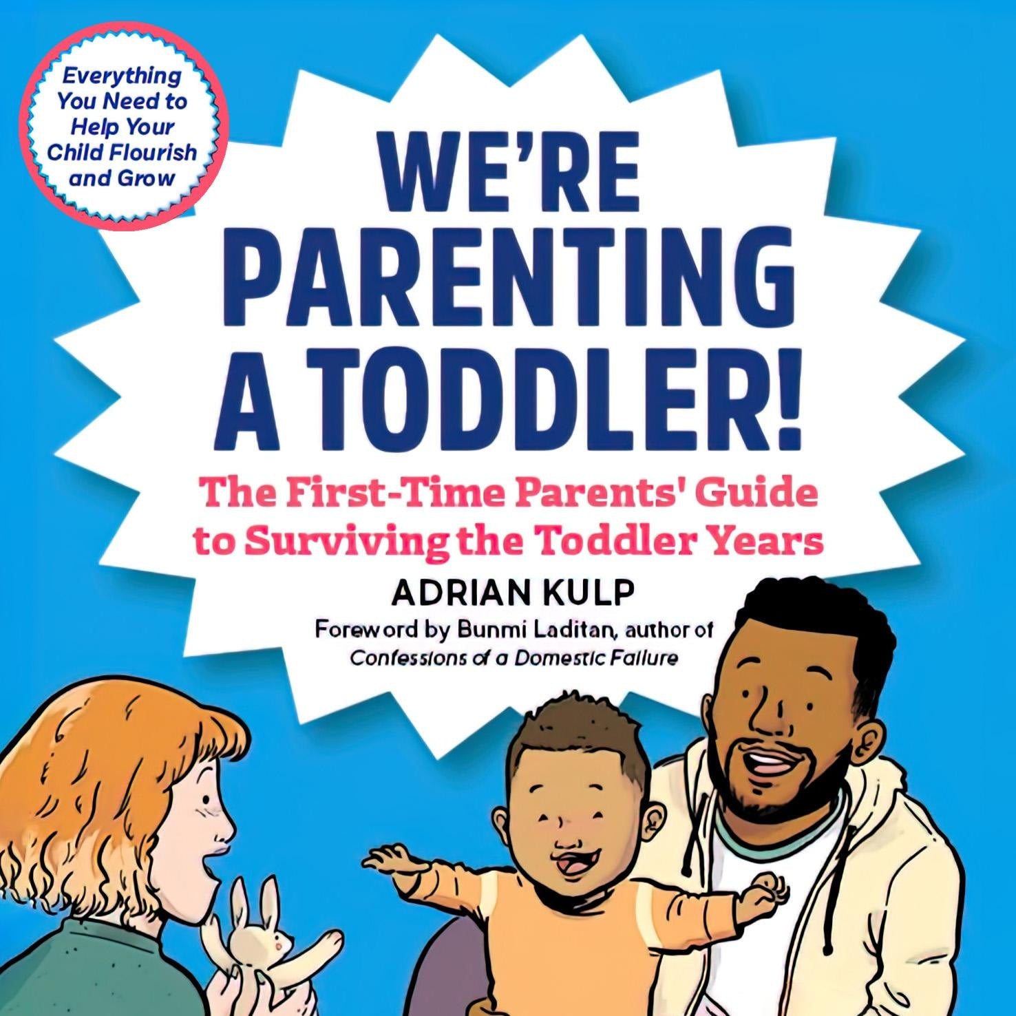 We're Parenting a Toddler!