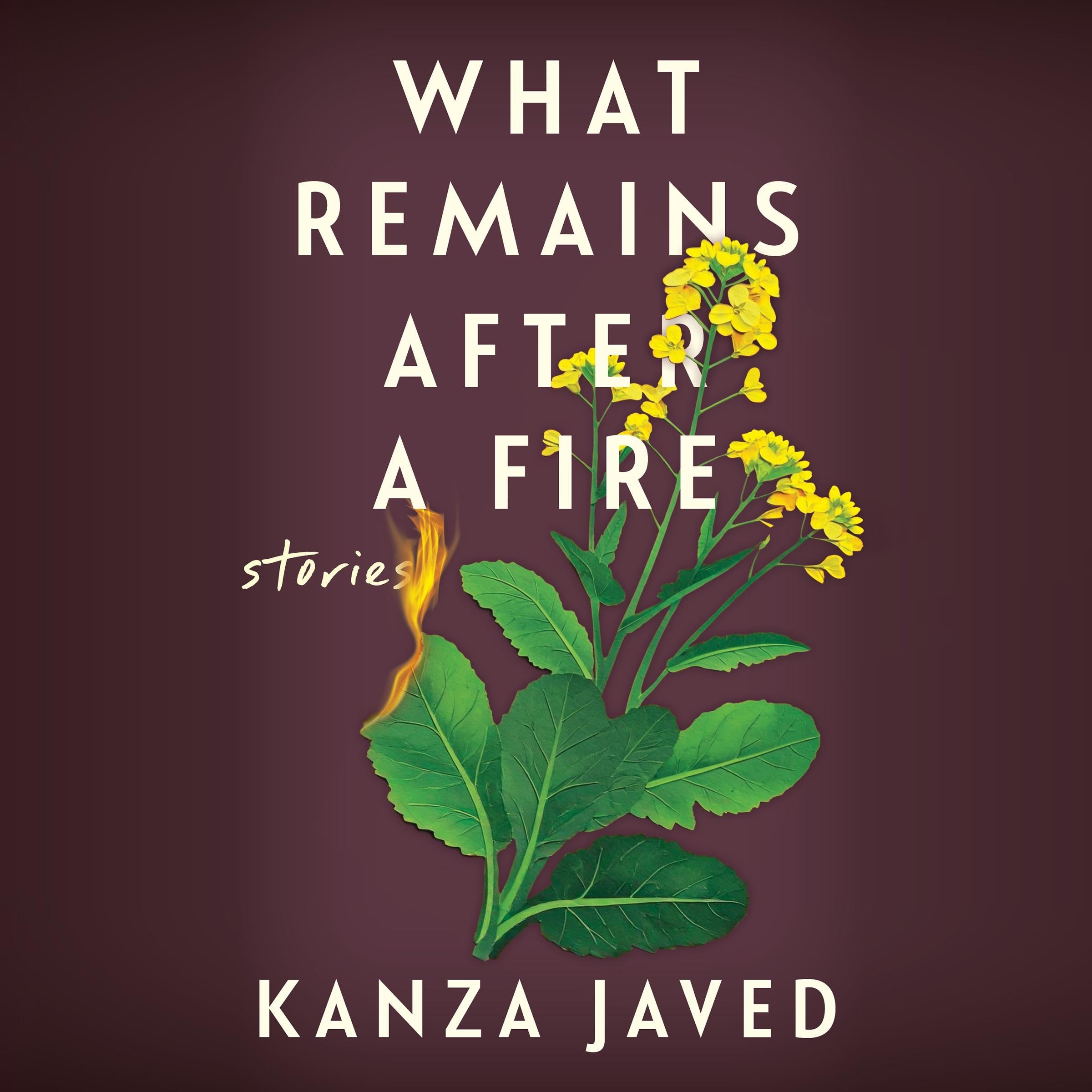 What Remains After a Fire